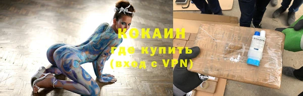 ПСИЛОЦИБИНОВЫЕ ГРИБЫ Богданович