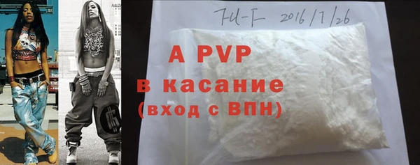 ПСИЛОЦИБИНОВЫЕ ГРИБЫ Богданович