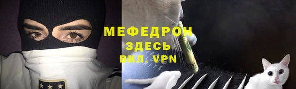 ПСИЛОЦИБИНОВЫЕ ГРИБЫ Богданович
