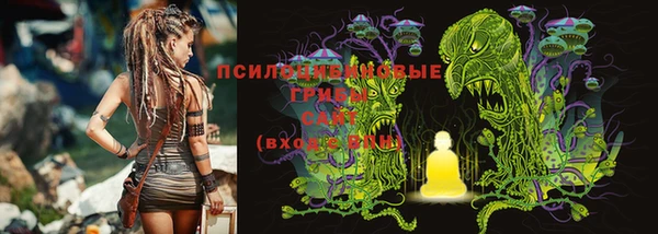 эйфоретик Беломорск