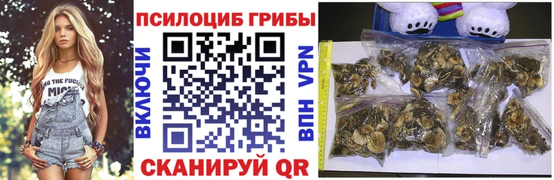 ссылка на мегу ссылка  Беслан  Псилоцибиновые грибы Cubensis  наркошоп 